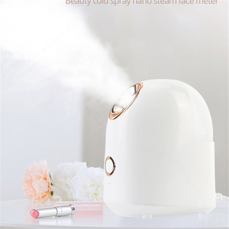Beauty Facial Steamer 