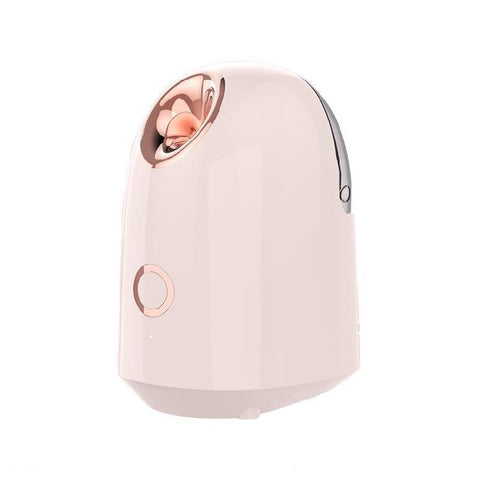 Beauty Facial Steamer 
