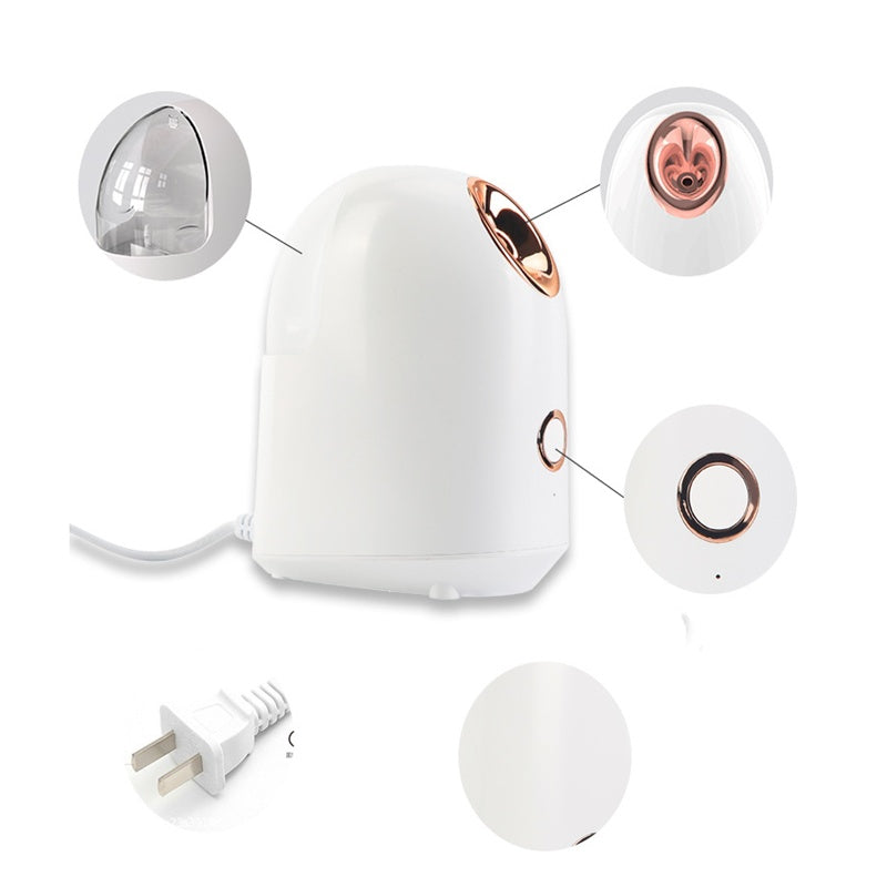 Beauty Facial Steamer 