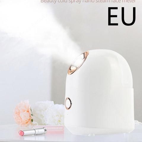 Beauty Facial Steamer 